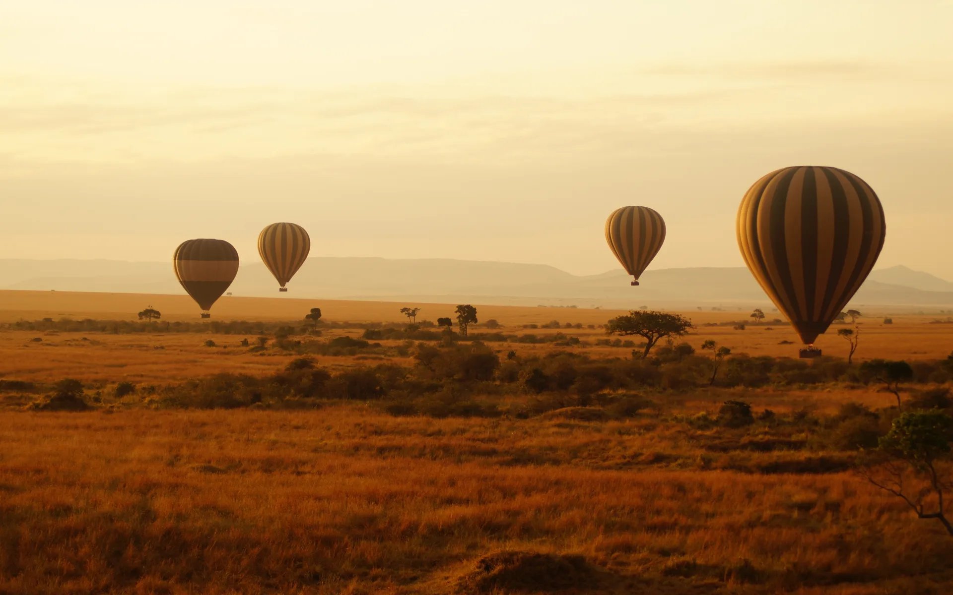 Several hot air balloons float over the Masai Mara savannah during an orange sunset