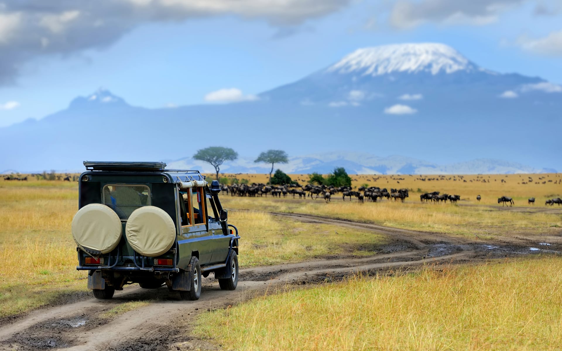 Masai_Mara_game_drive_Kenya_shutterstock_454560490_fpzoke-1