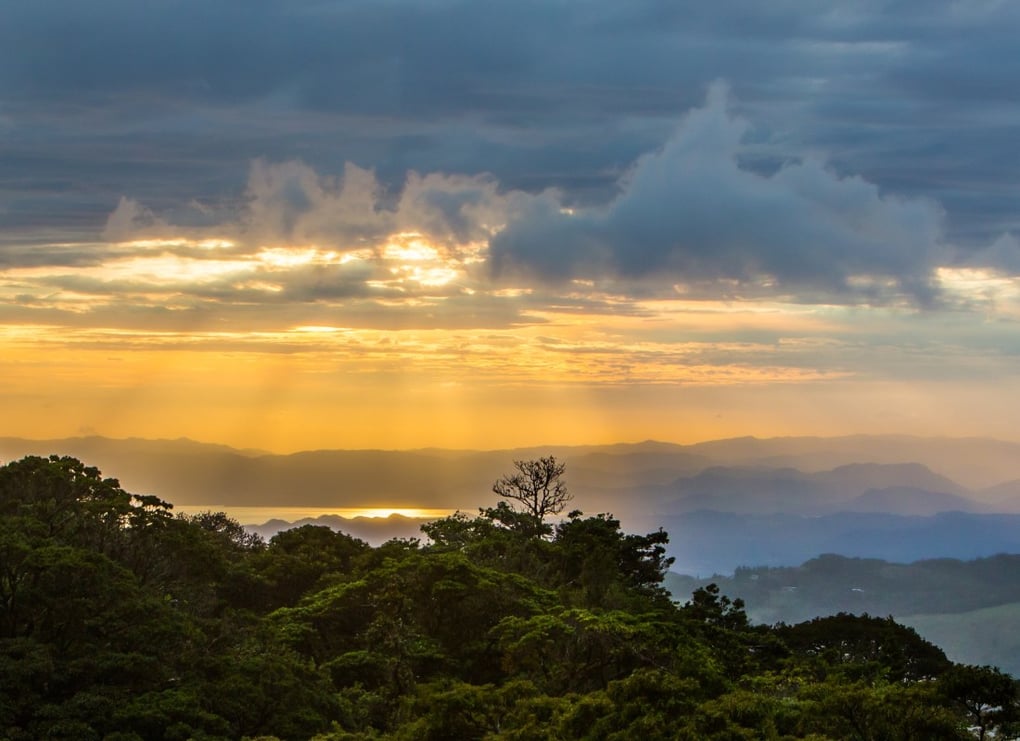 Monteverde_costa_rica_unsplash_free_stock_photo_james-ting_2020-3