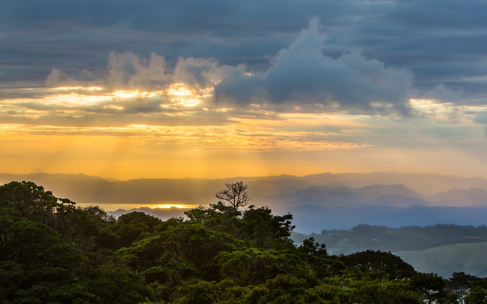 Monteverde_costa_rica_unsplash_free_stock_photo_james-ting_2020