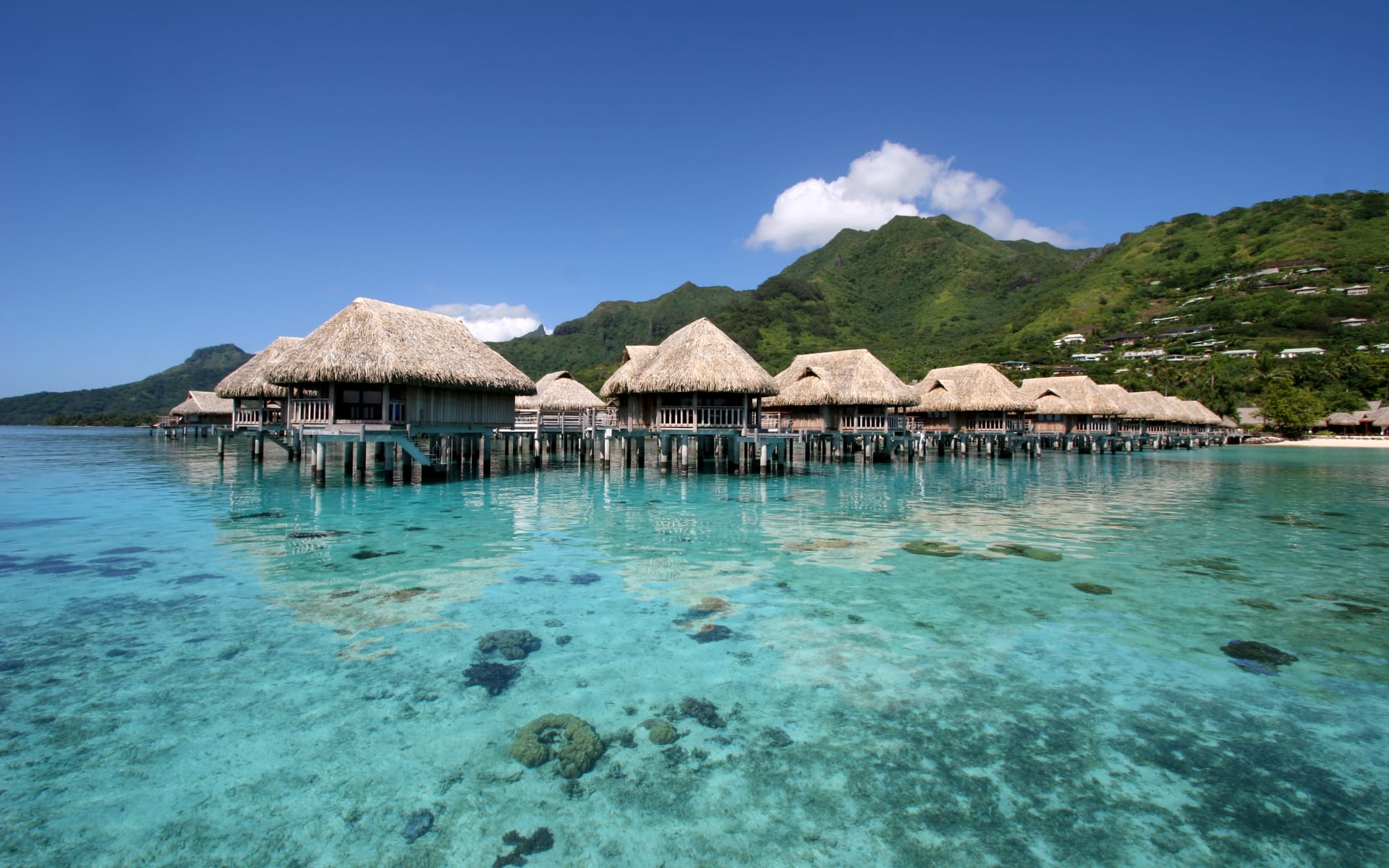 Overwater bungalow above crystal clear blue ocean