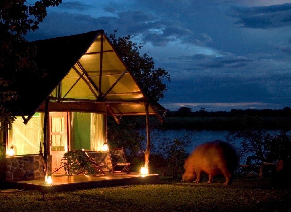 Mvuu_Camp_malawi_hippo_by_room