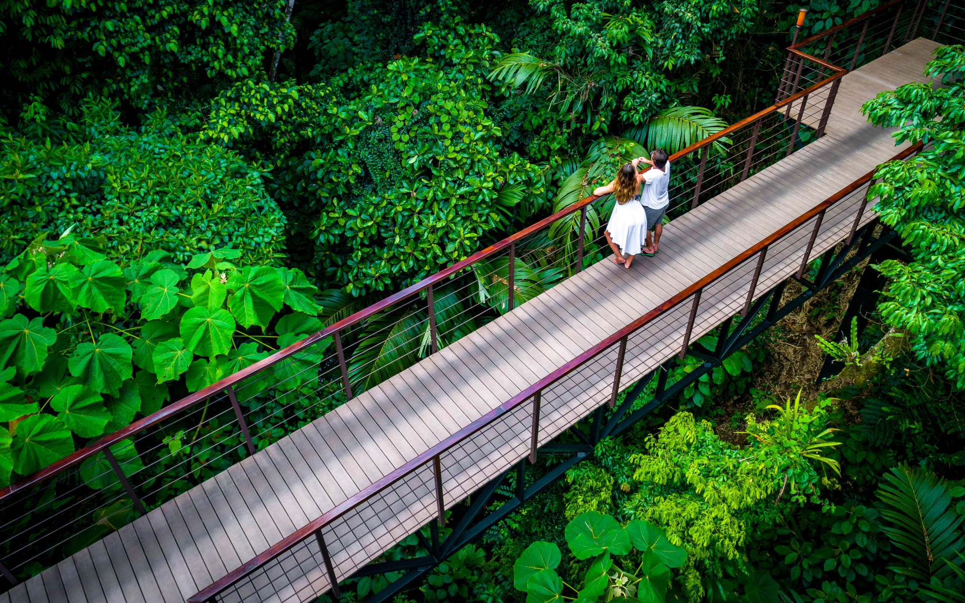 Nayara_Tented_Camp_Bridge_bsqoxu