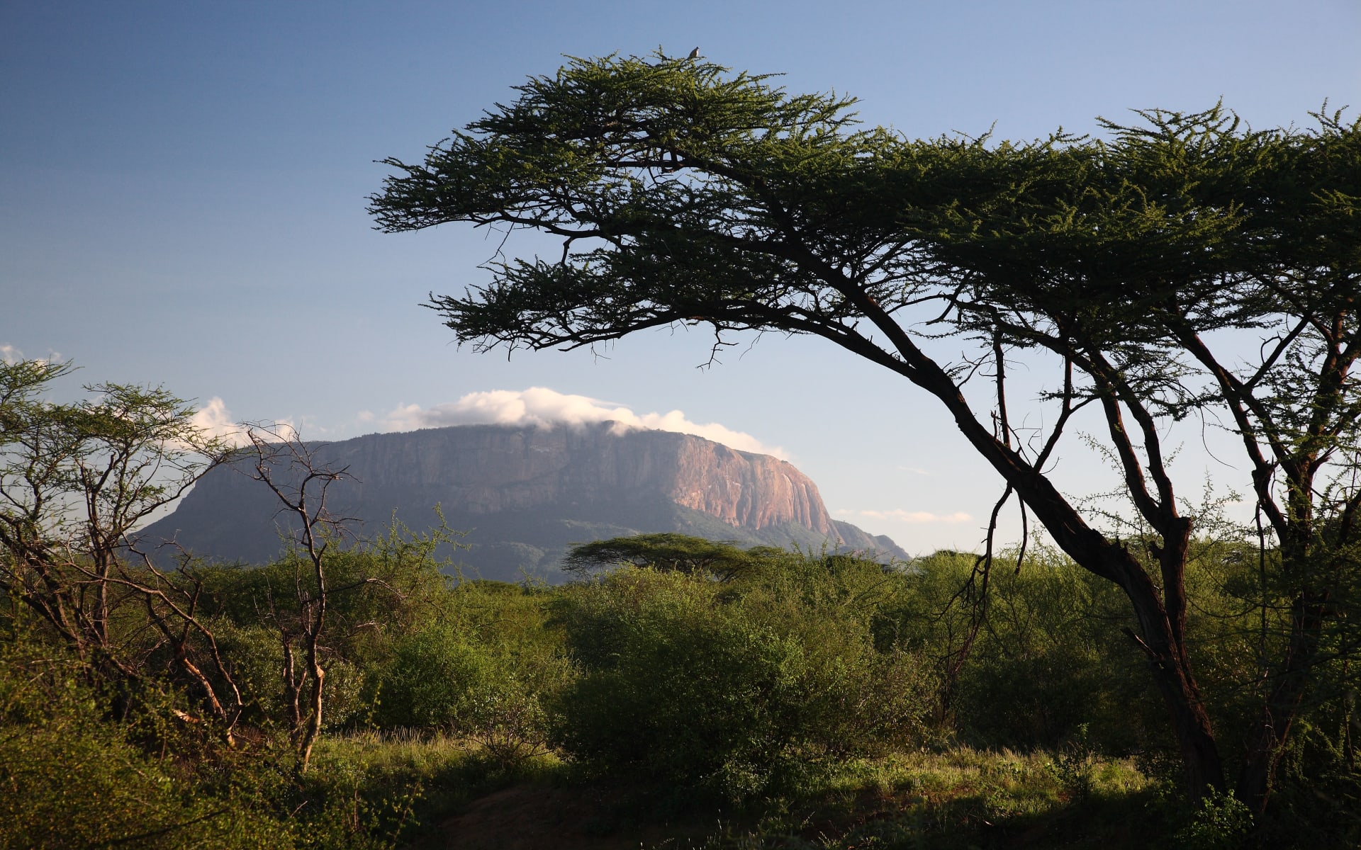 Nothern_kenya_saruni