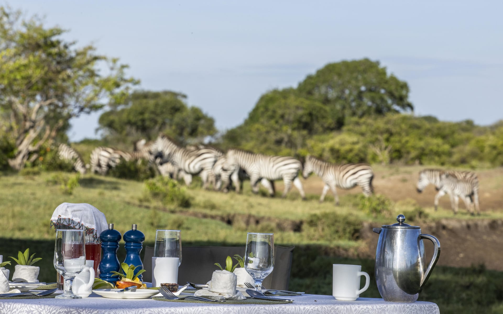 Offbeat_mara_kenya_bush_breakfast