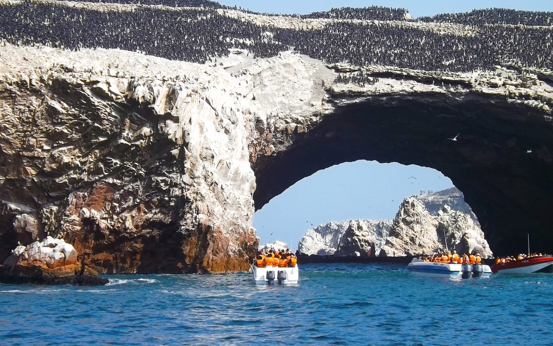 Paracas_Free_Stock_Image_Unsplash_2021_CCWillian_Reis-Nslb0mtKjtk_fdsijd