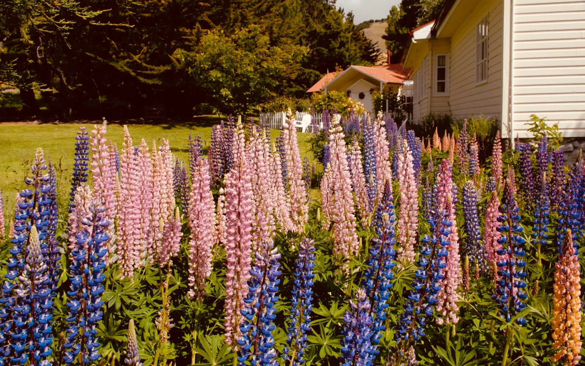 A colourful flower bed sprawls across the estancia's gardens, creating a sheath of lilac and pink.
