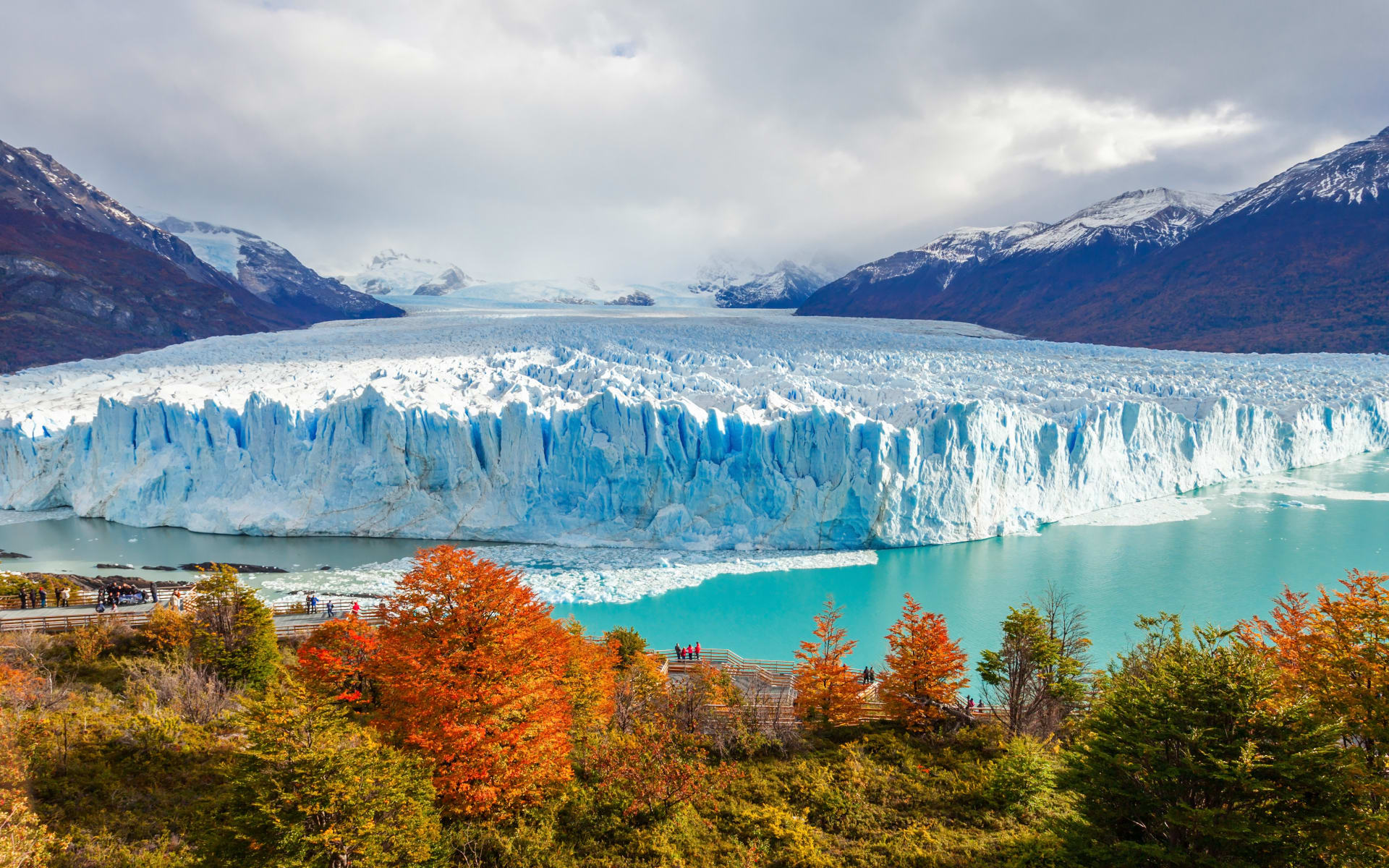 Orange and green trees overlook the turquoise water that fronts the icebergs at Perito Moreno Glacier. 