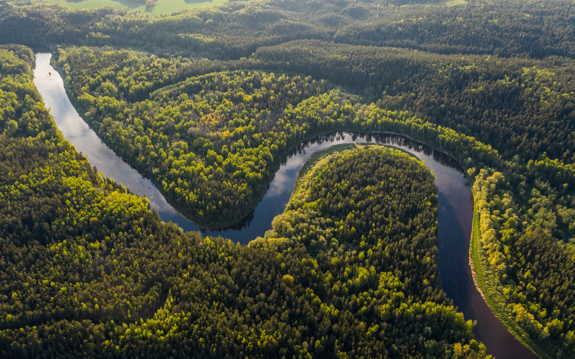 Peru_Amazon_Rainforest_Free_Stock_Image_2020_CCIvars_Utinans-vkQgb1lZZPQ_sycns8