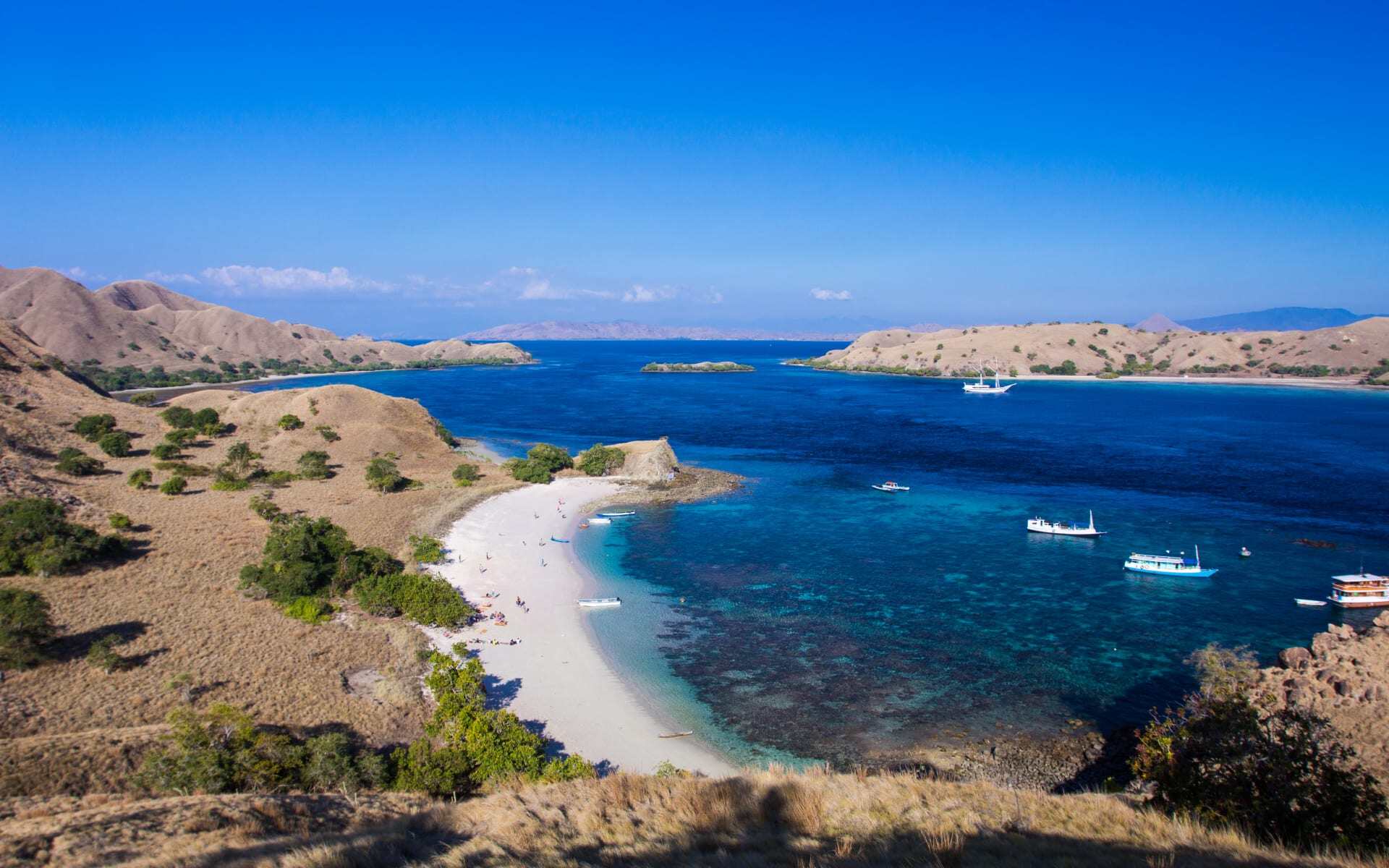Explore the pink beach
