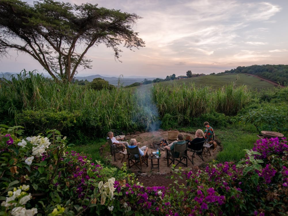 A group of people sitting around a camp fire that's surrounded by trees and flowers