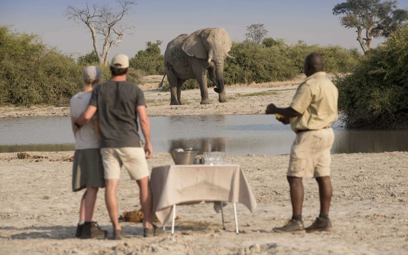 A couple an a local guide watch elephants wander by at Savute Under Canvas.