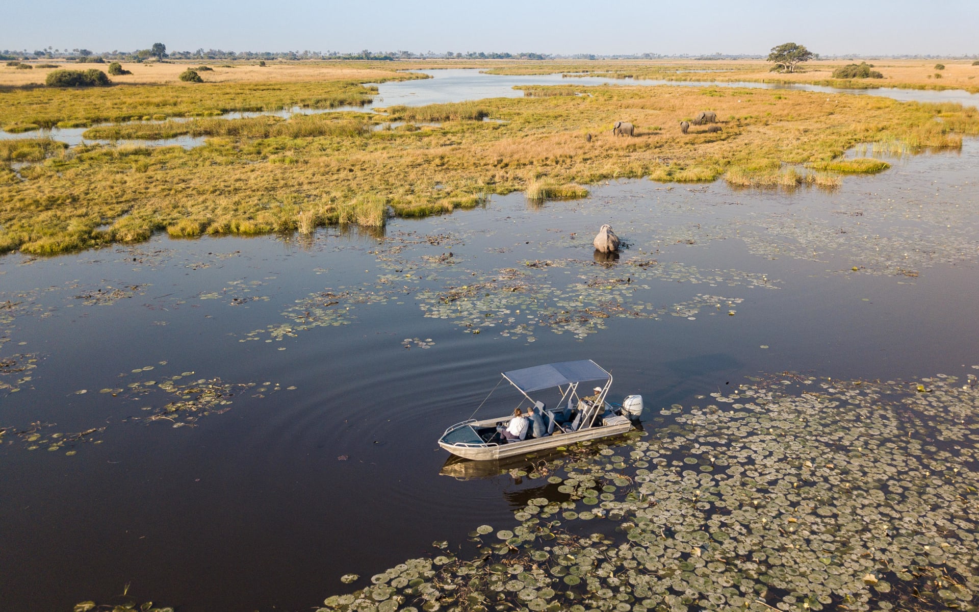 Selinda_Camp_Boating_aavuzm