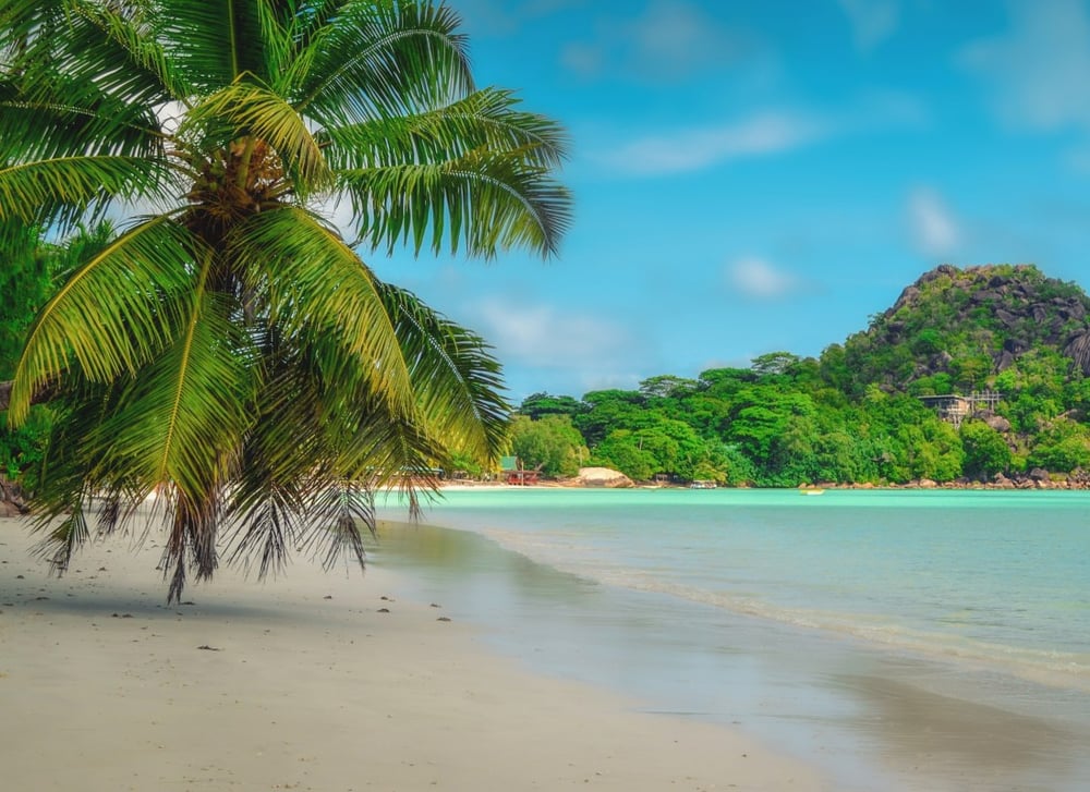 A beach in the Seychelles has white sands and tall palms.