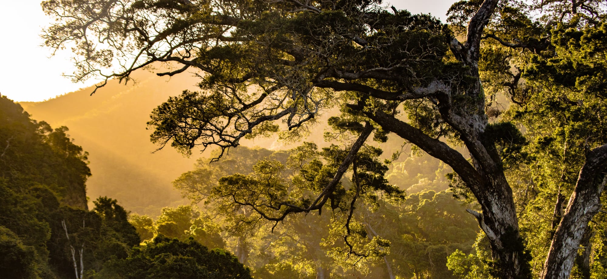 South_Africa_Free_Stock_Image_Unsplash_2018_CCRedcharlie-redcharlie1-k2zWqv_yfNM_d3dh6e-1