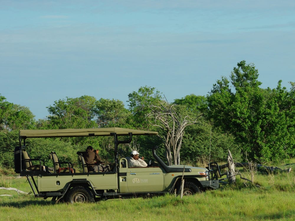 Splash_Camp_Game_Drive_np8qzl