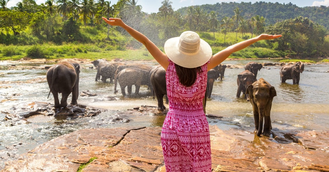 Best Time To Visit Sri Lanka