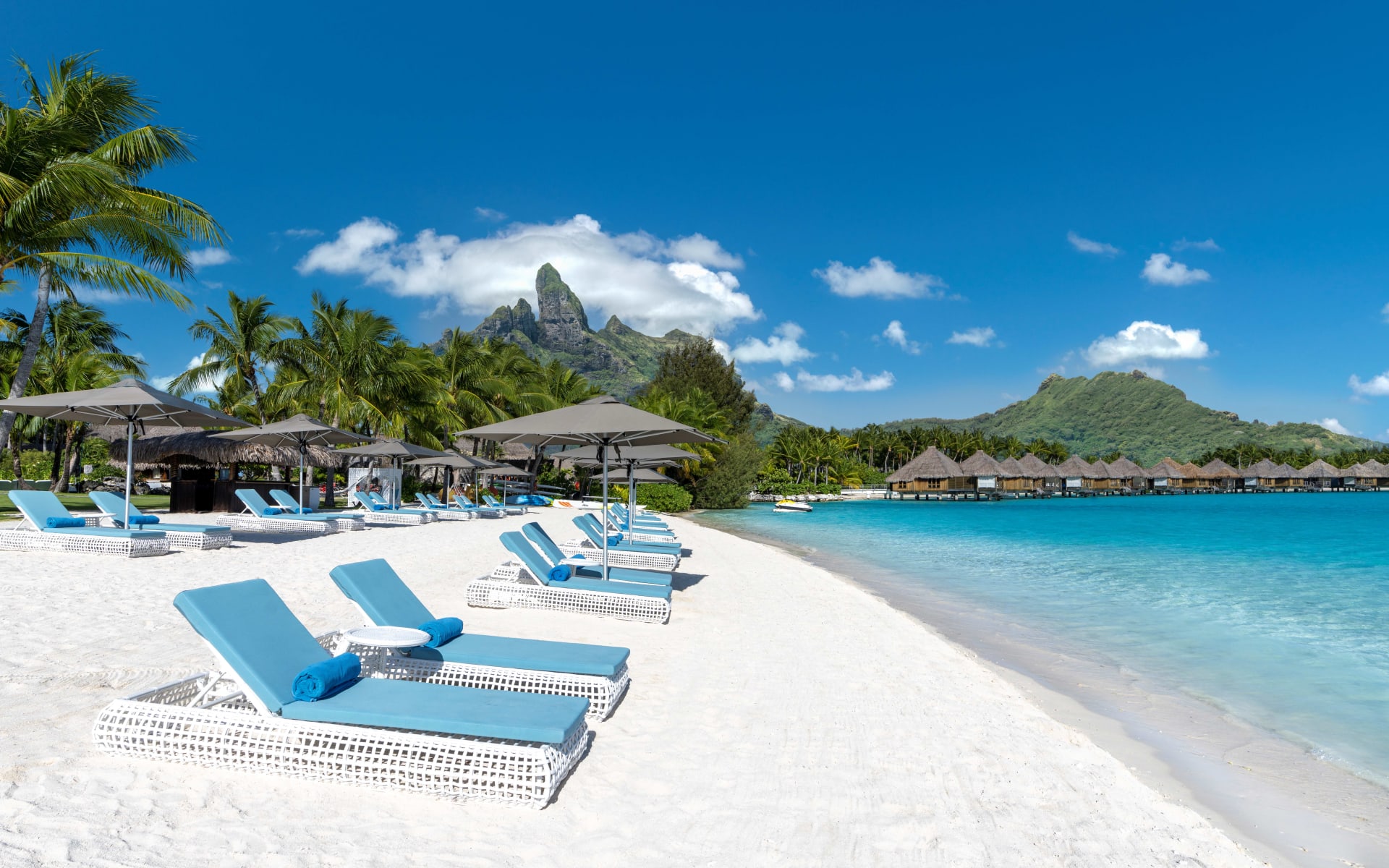 Blue sunloungers sit on a white beach near the blue ocean with palm trees in the background. 