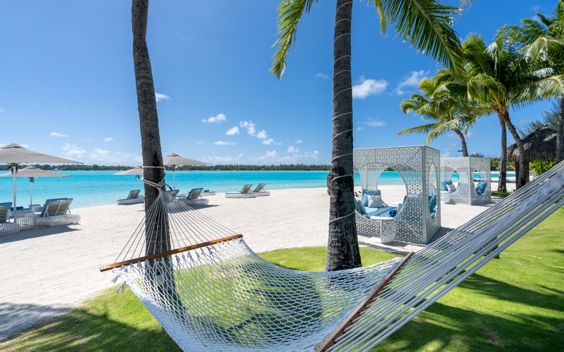 Hammock between palm trees over looking blue ocean