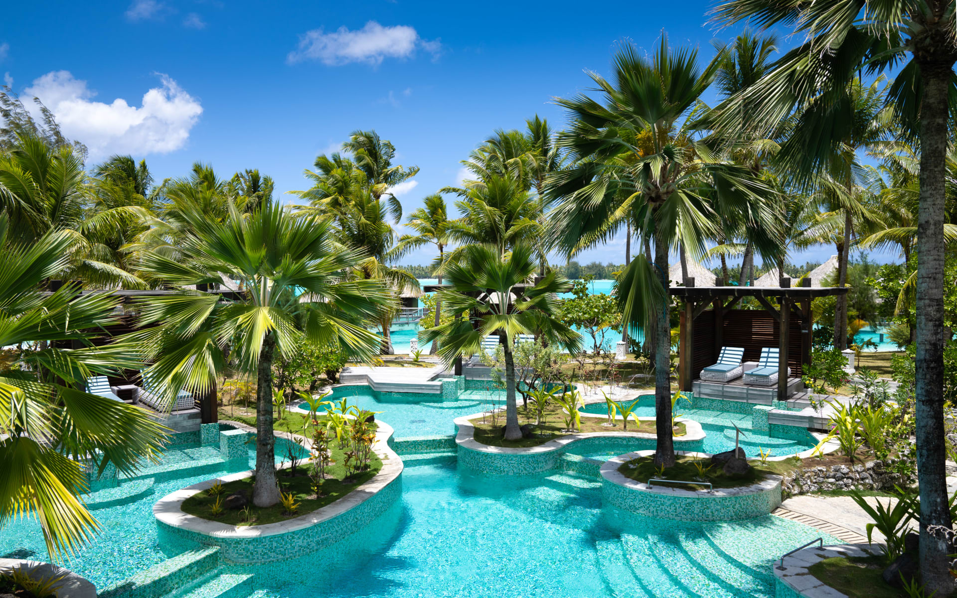 Oasis swimming pool with an abundance of palm trees providing shade
