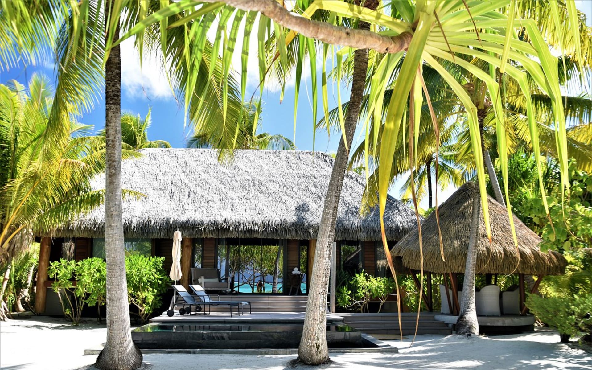 Exterior of Family Villa with palm trees in front 