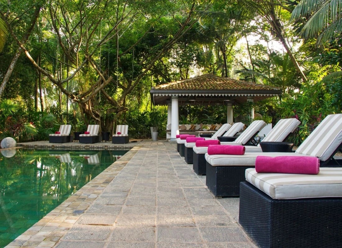 The Wallawwa Hotel has a pool with sun beds surrounded by a jungle. 