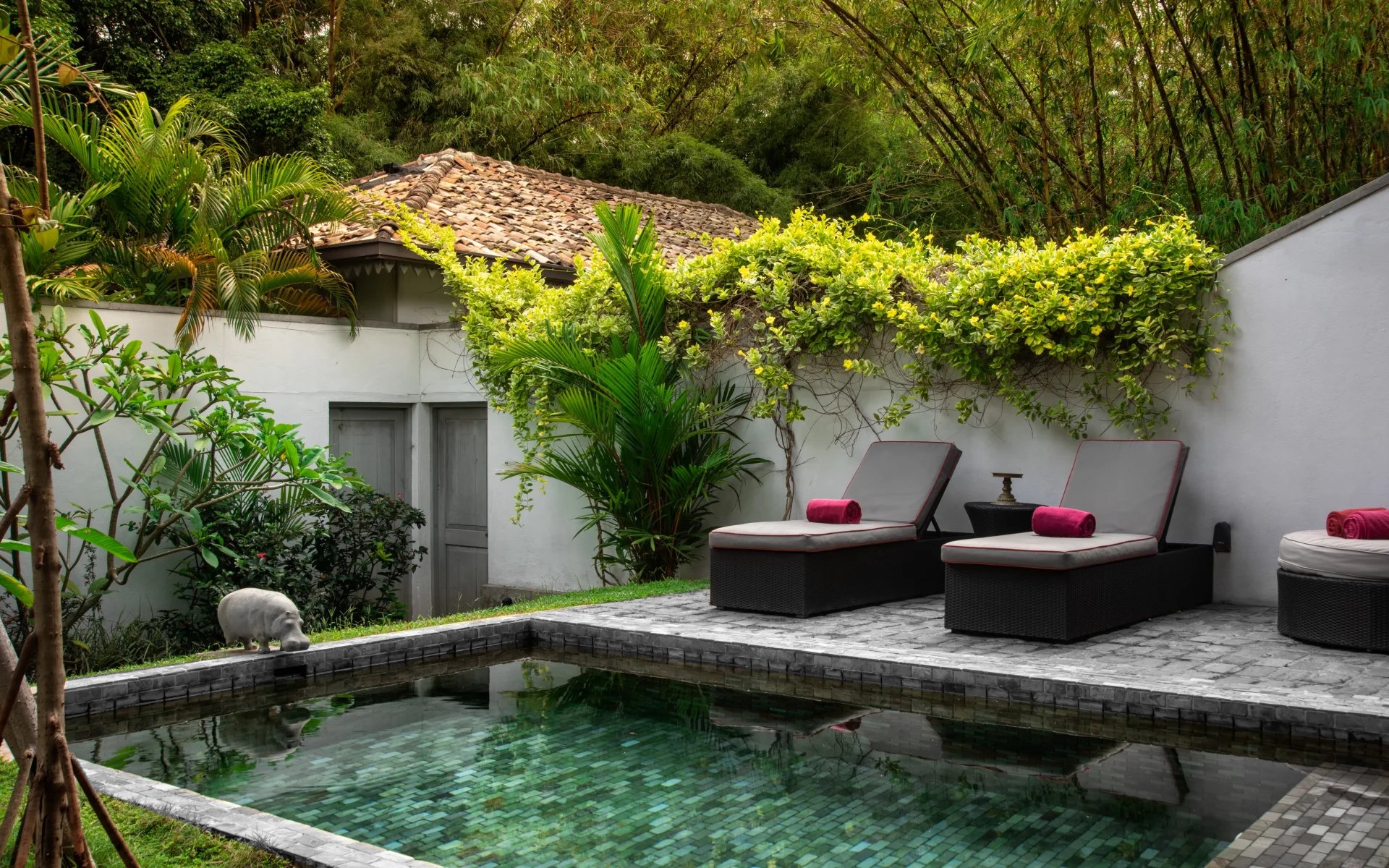 One of the outdoor plunge pools in the hotel is surrounded by a stone-paved sun deck and towering trees.