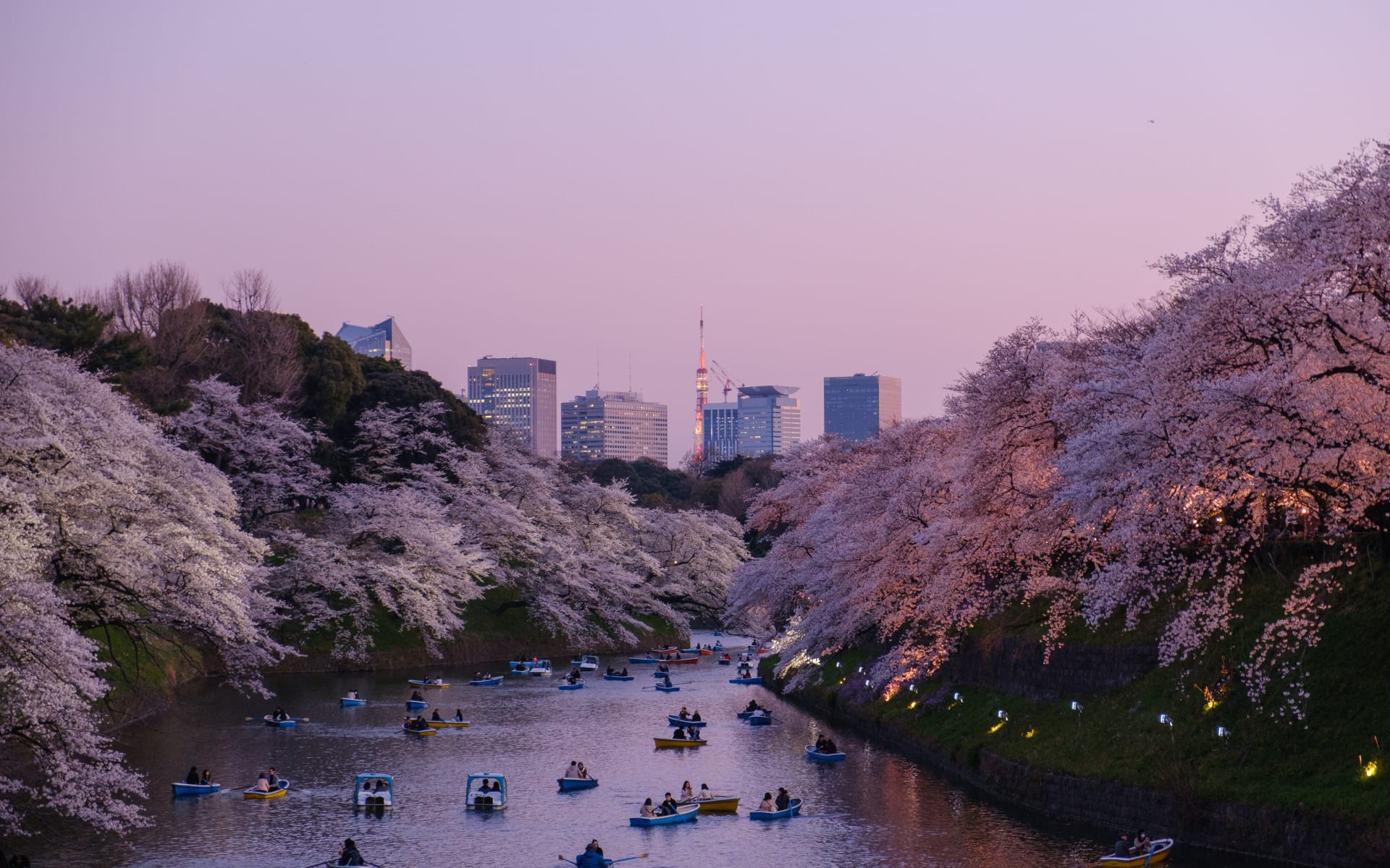Tokyo_Free_Stock_Image_Unsplash_2019_CCYu_Kato_p1jujj