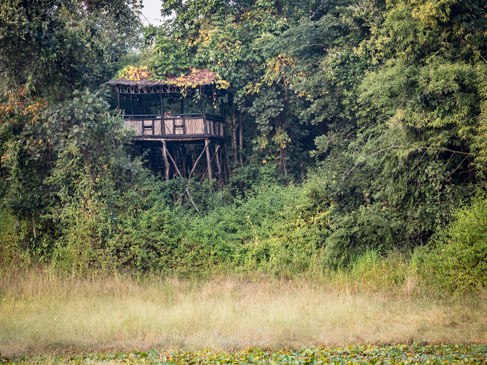 A hideaway overlooking the water hole