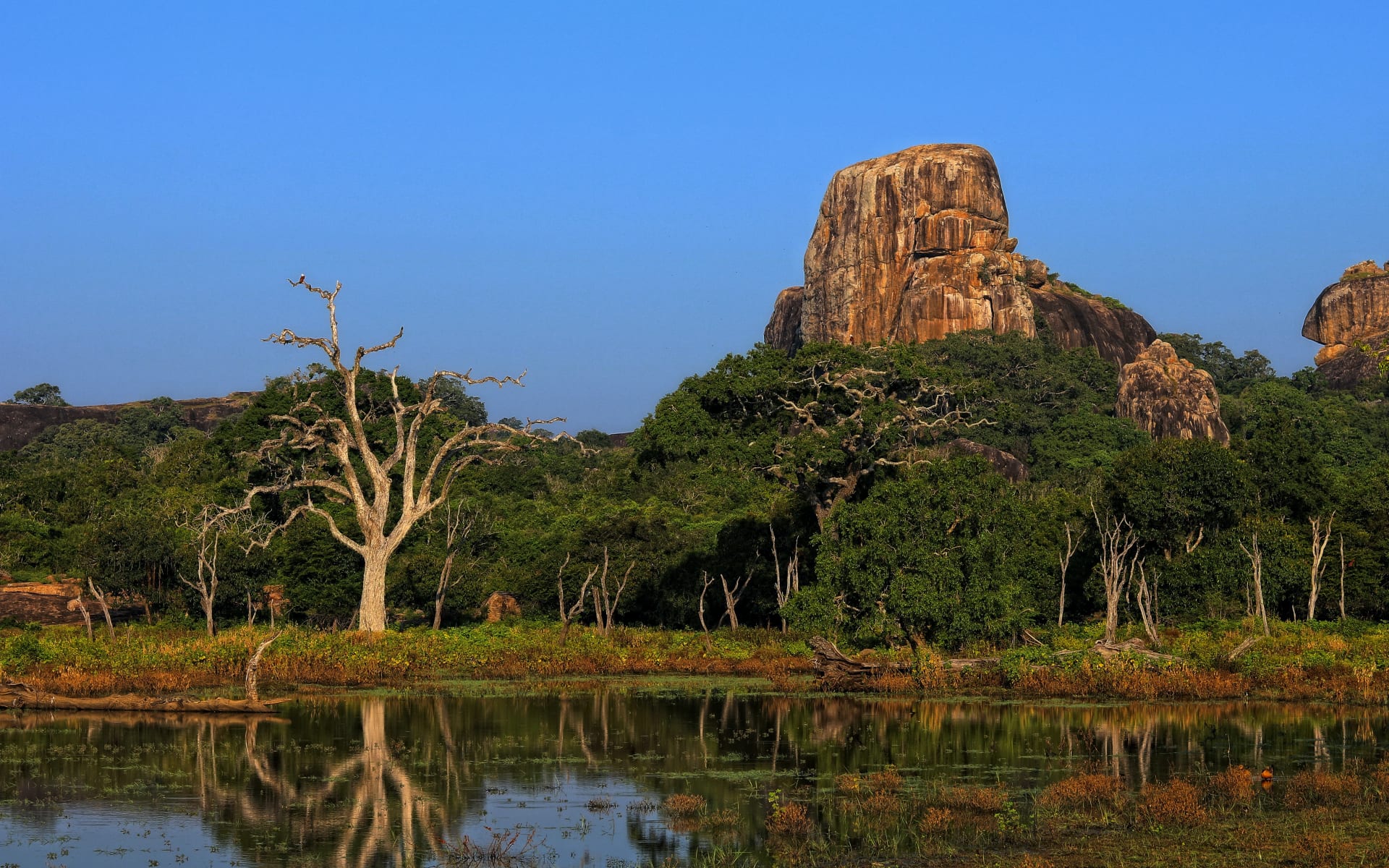 Yala_National_Park_Free_Stock_Image_Unsplash_2022_CCNatasha_Yurova-HK8-s14KYWs_aeyo0r