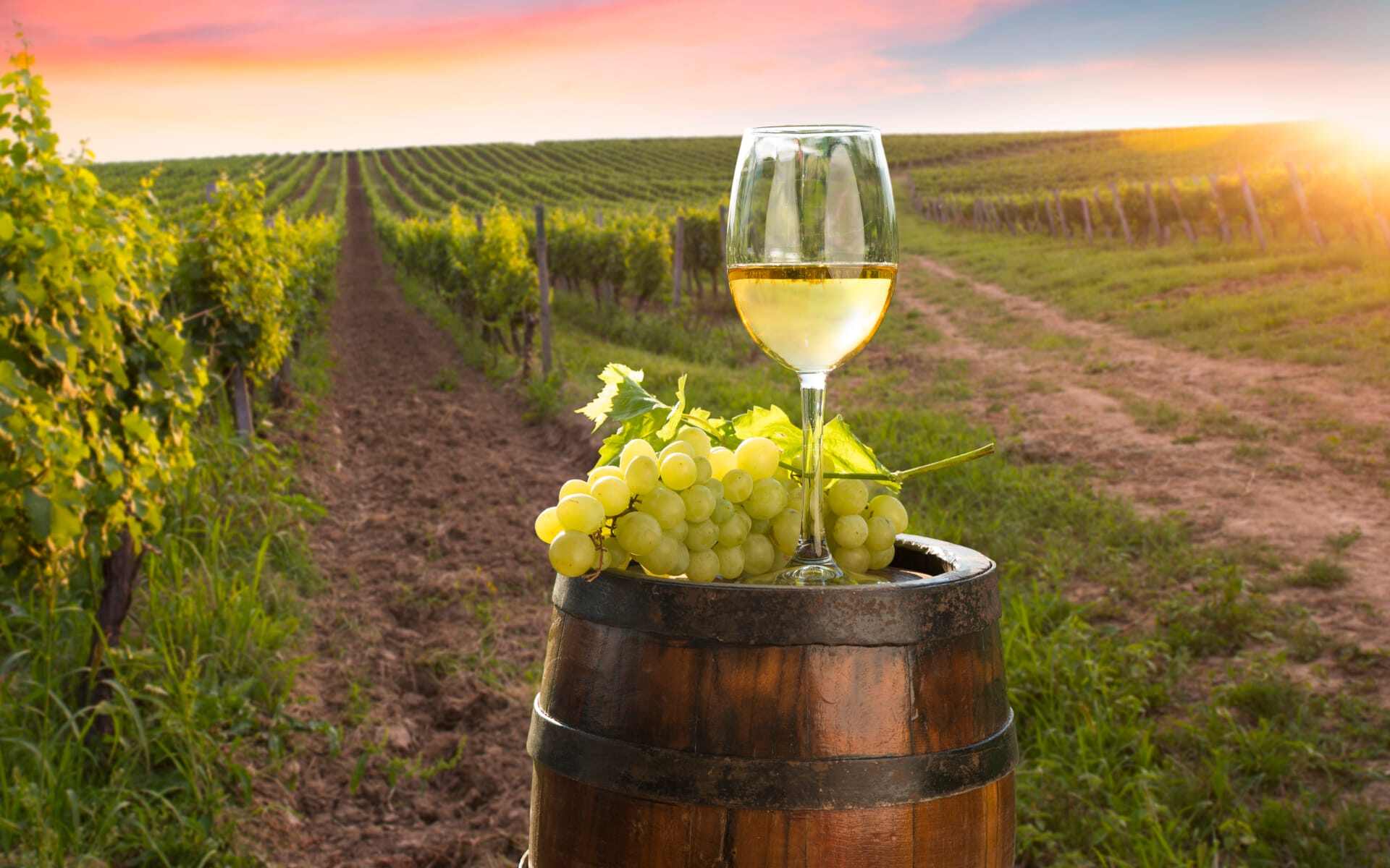The Yarra Valley in Australia offers delicious and freshly-sourced wines.