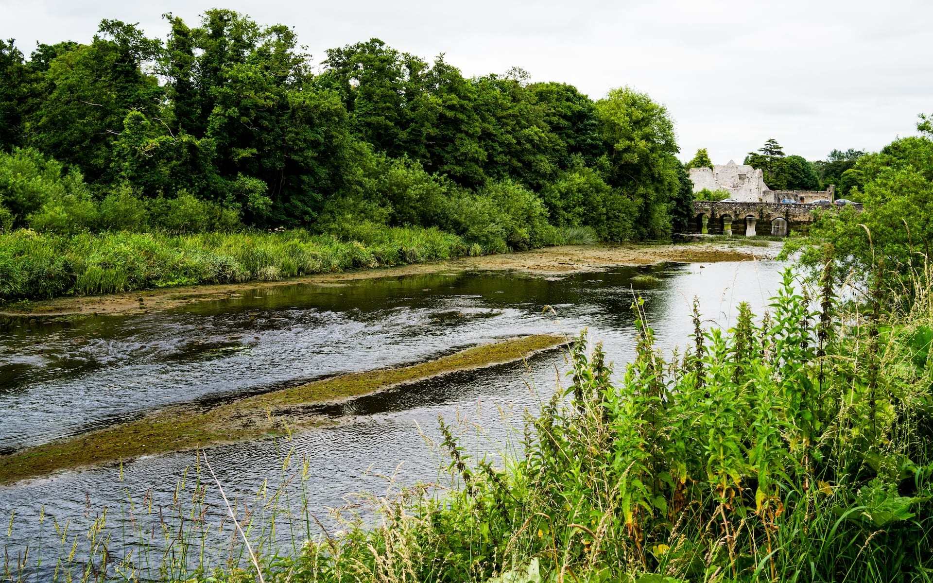 Discover the beauty and charm of Adare village