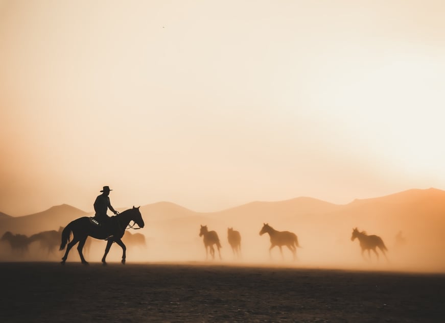 agentina_pampas_horse_riding_hnjzmc-1