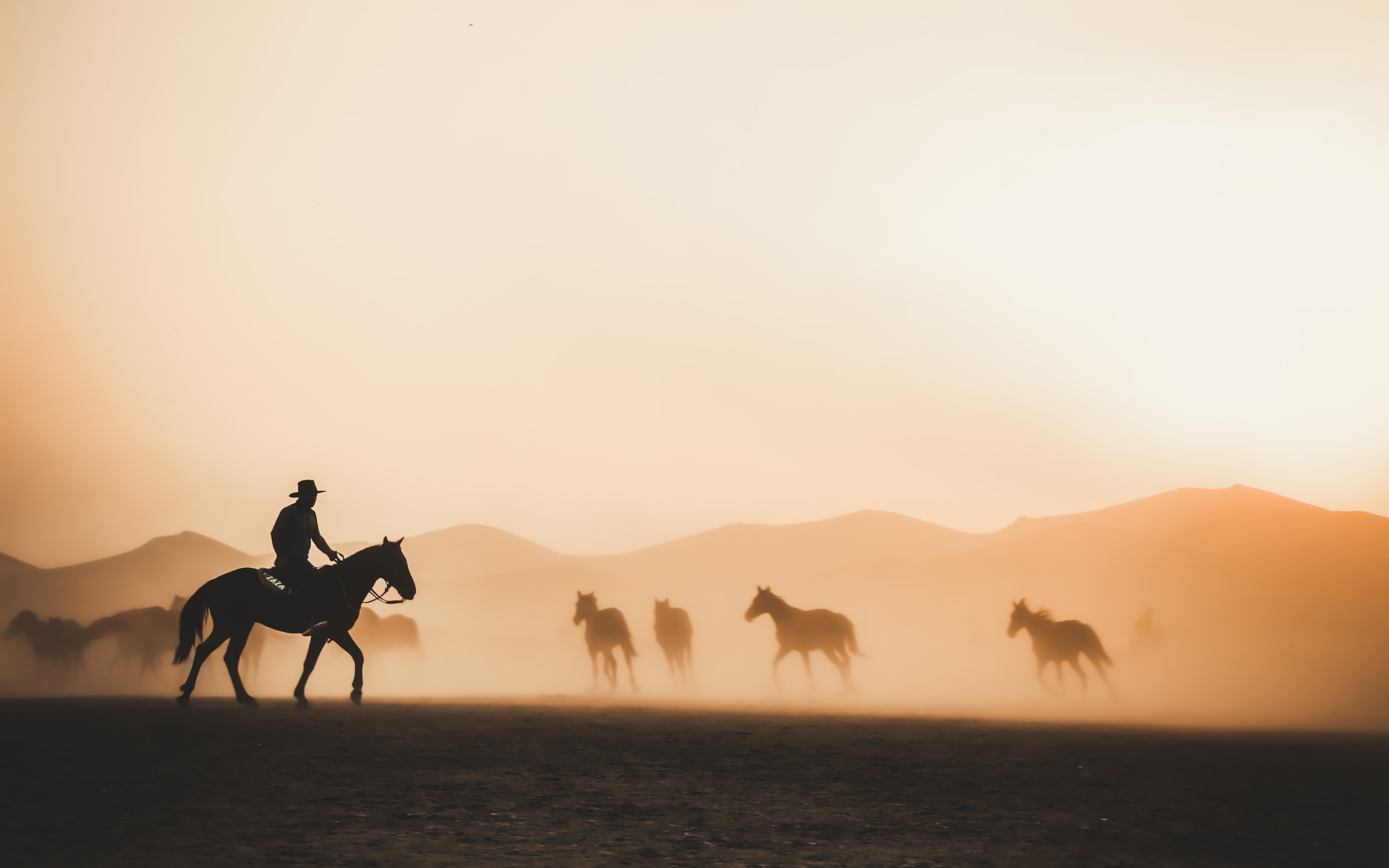 agentina_pampas_horse_riding_hnjzmc