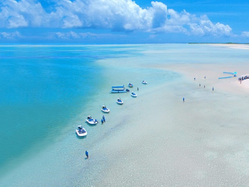 alphonse_private_island_seychelles_flats-lunch-dining-experience-1