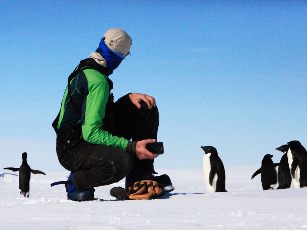 antarctica_adelie_penguis_uopmug-2