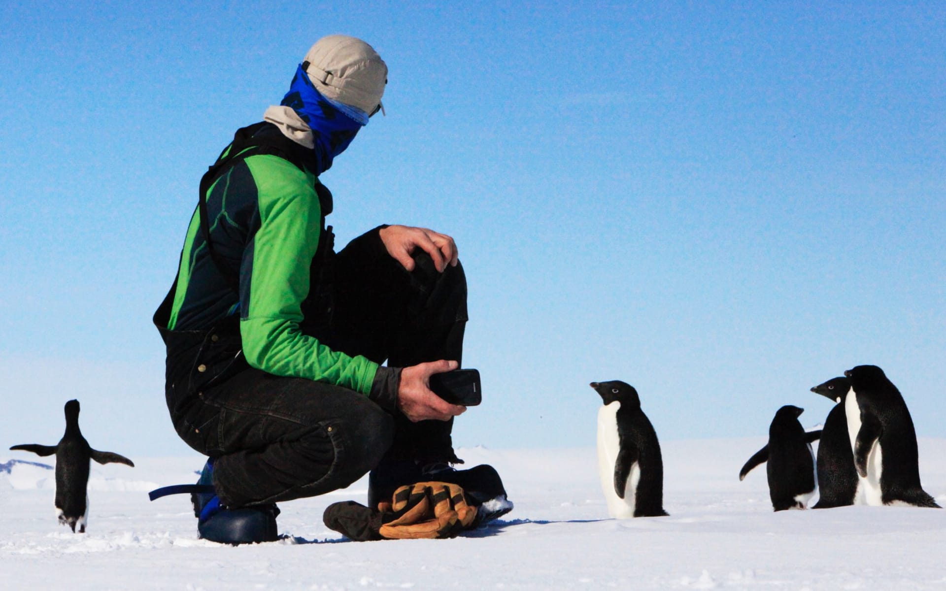 antarctica_adelie_penguis_uopmug
