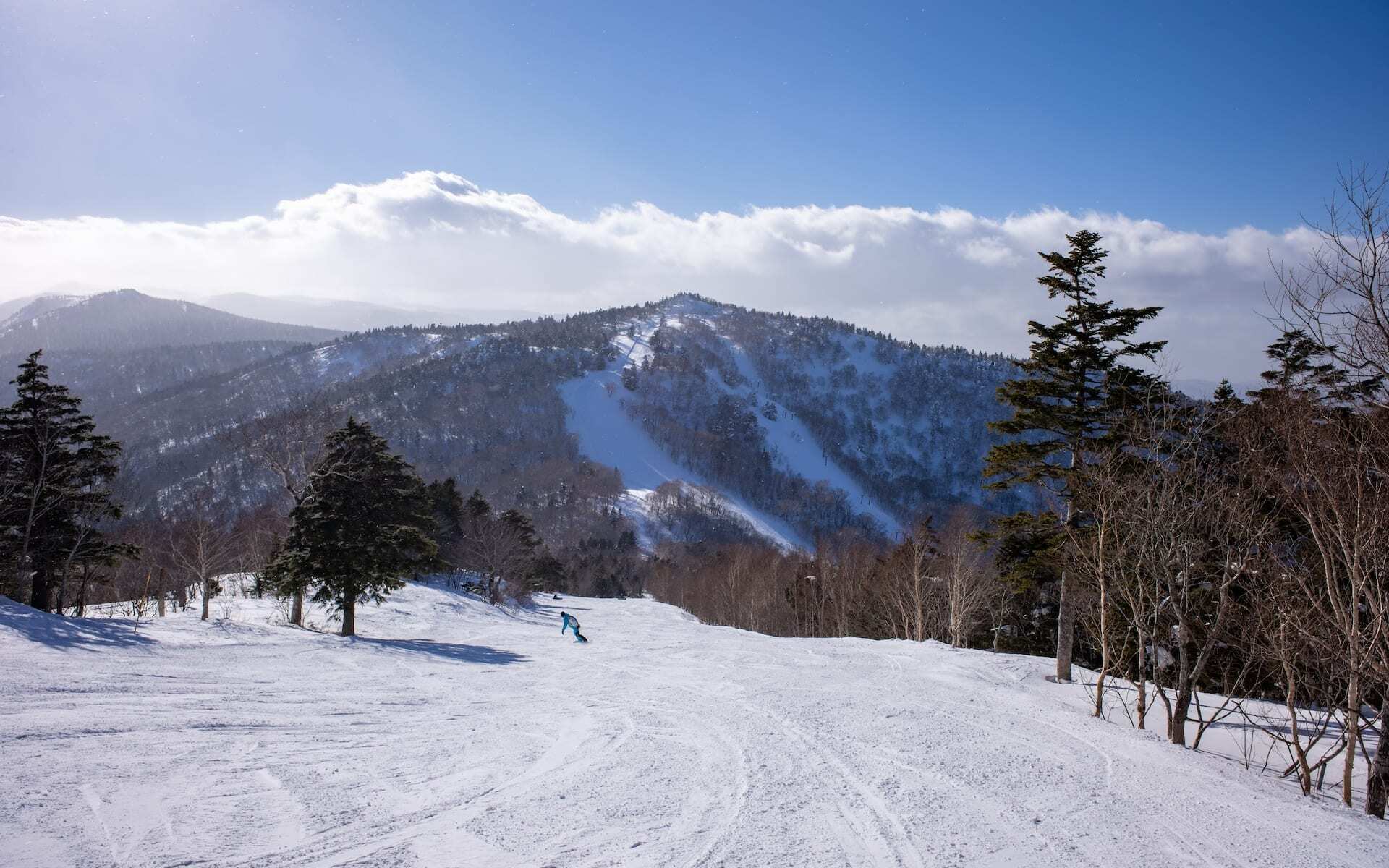 Appi Kogen has steep ski slopes lined by tall trees.