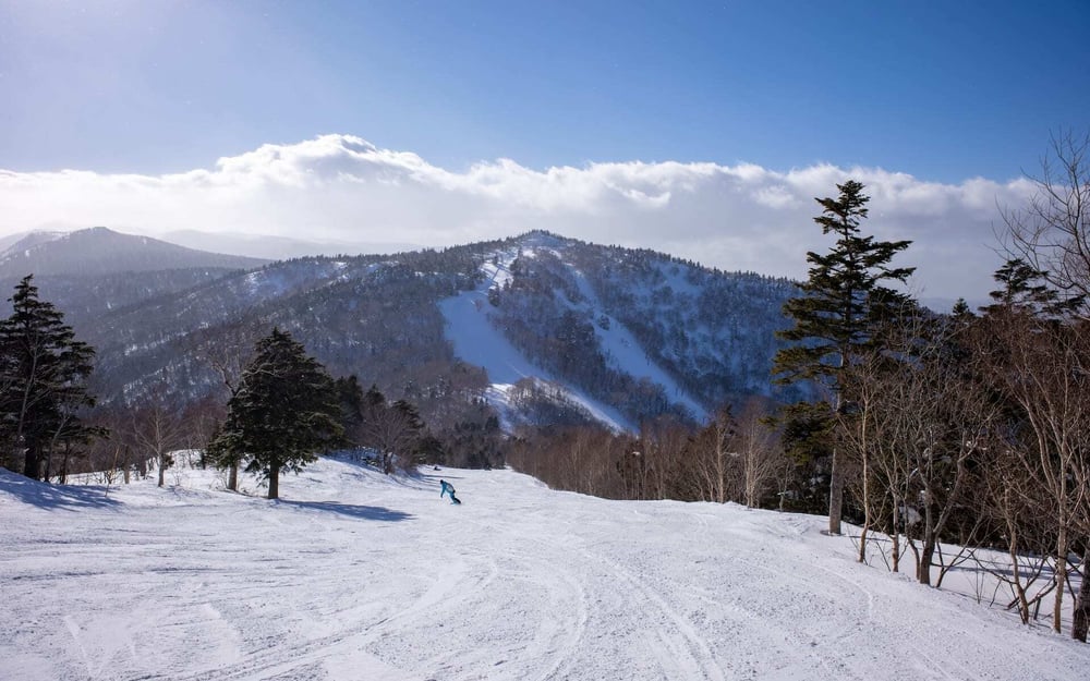 The slopes of Appi Kogen are covered in snow and pine trees.