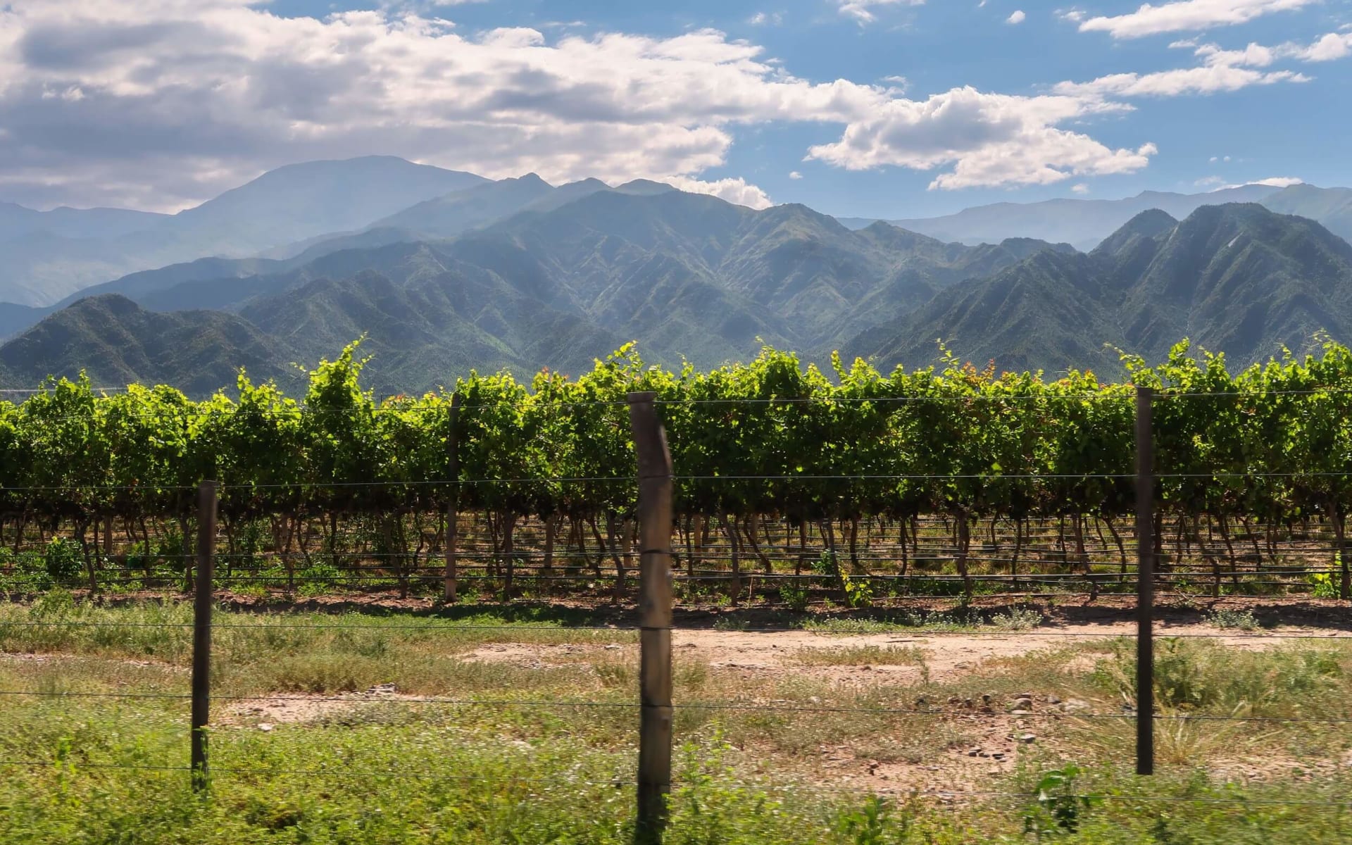 argentina_winelands_jsnzhh-1