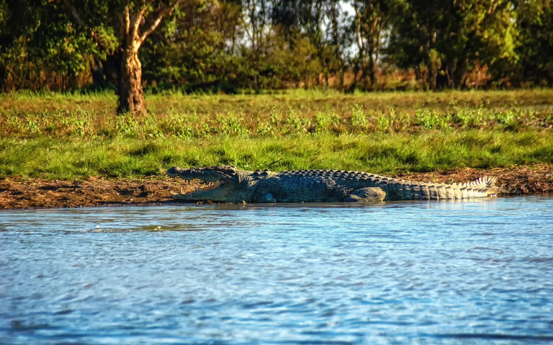 bamurru_plains_australia_shutterstock_1962801688_hlek7d