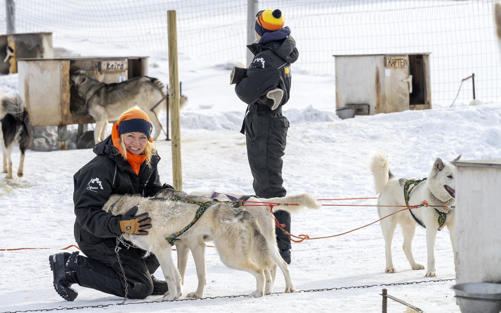 basecamp-explorer-dog-sledding-CCRuneDahl_snuudb