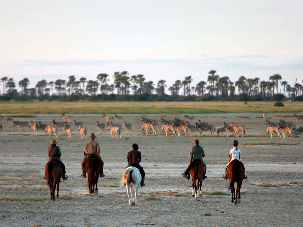 camp_kalahari_botswana_horse_riding_tndktt-1