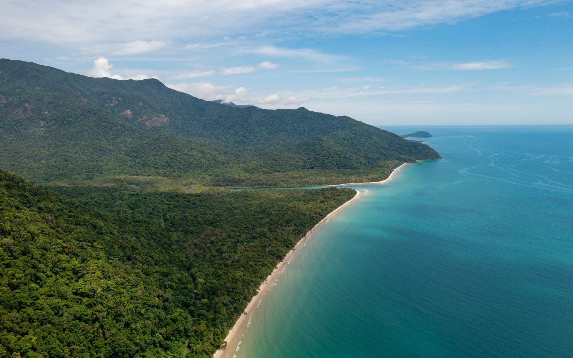 daintree_rainforest_australia_2277560537_jye8fr