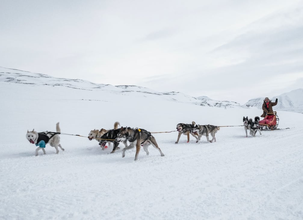 dog_sledding_svalbard_unsplash_r4ruba