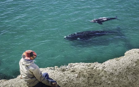 estancia-rincon-chico-whale_watching_argentina