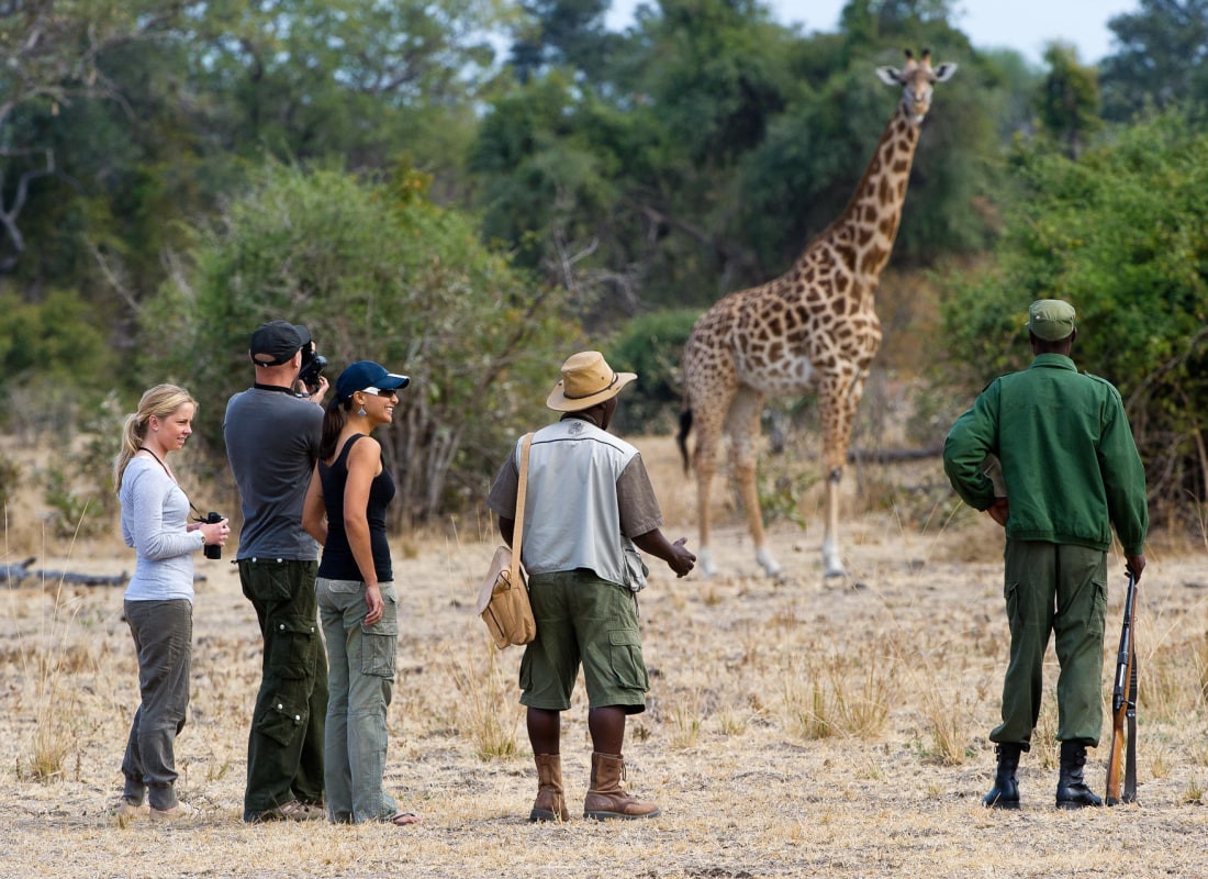 flatdogs_camp_zambia_Walking_safari_South_Luangwa_mkl18w
