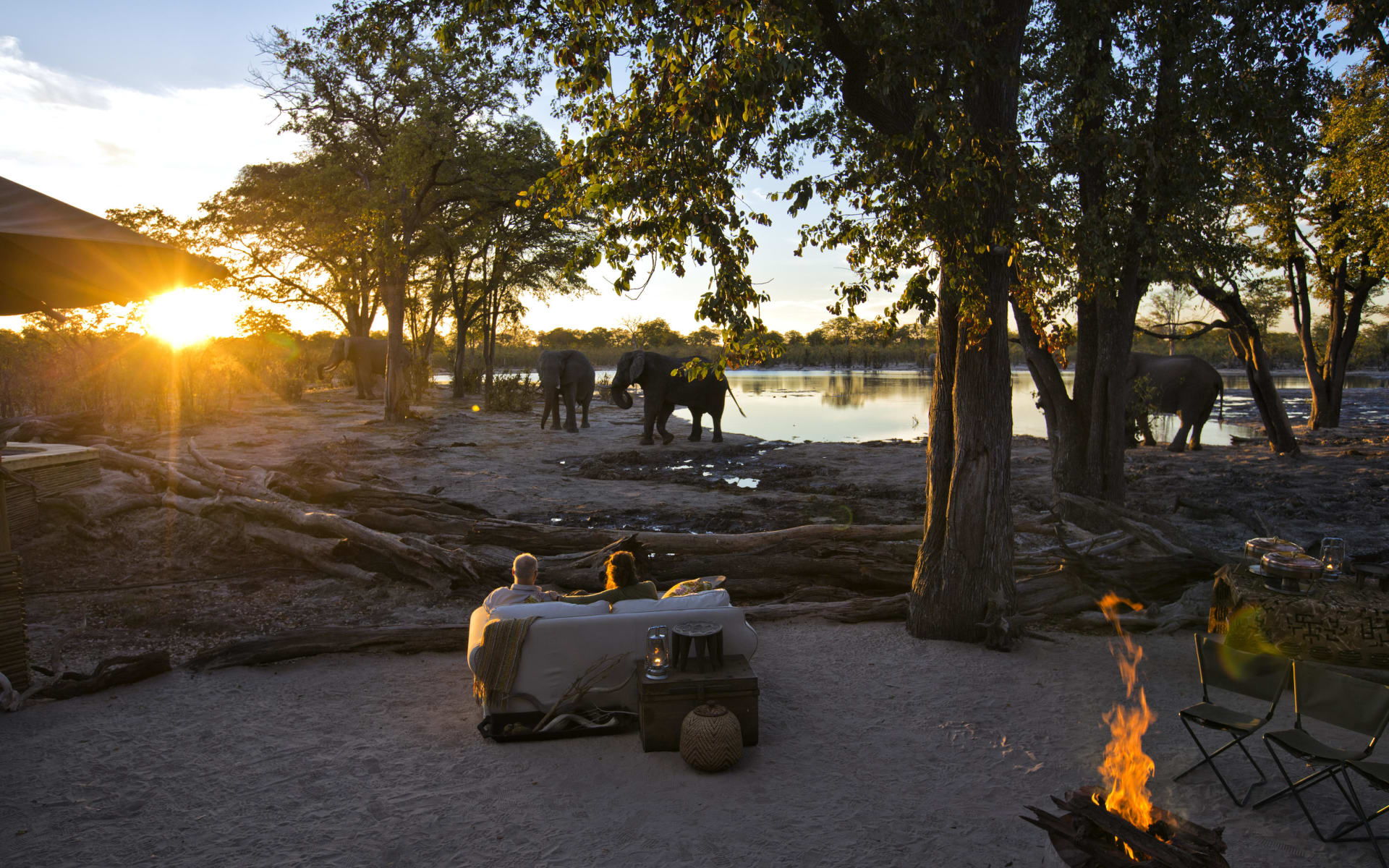 hyena_pan_botswana_elephant_sunset_ed9dqh