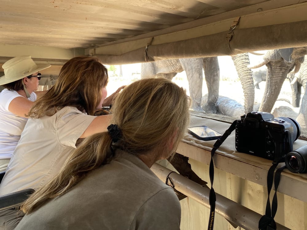 hyena_pan_botswana_hide_vulvdd-1