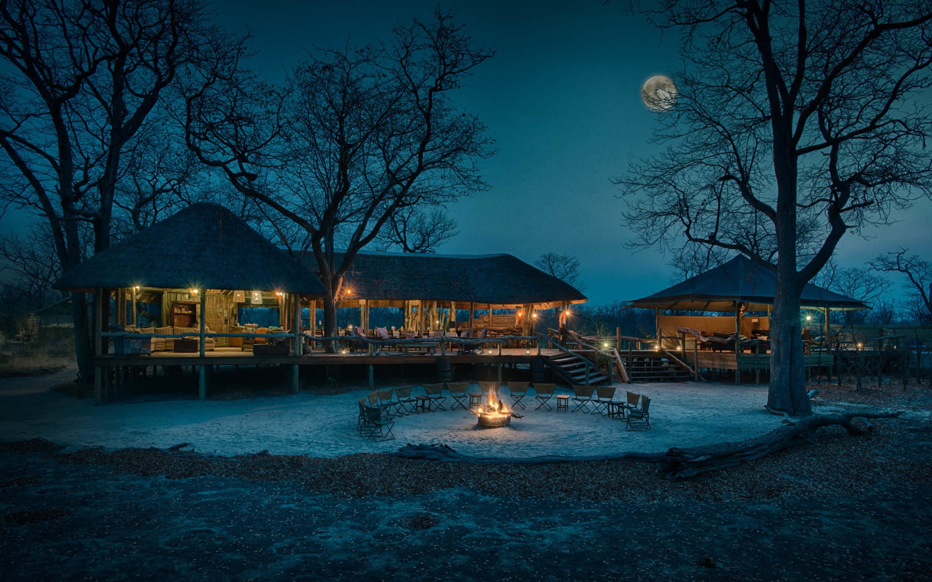 hyena_pan_botswana_night_cjnta8
